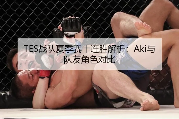 TES战队夏季赛十连胜解析：Aki与队友角色对比